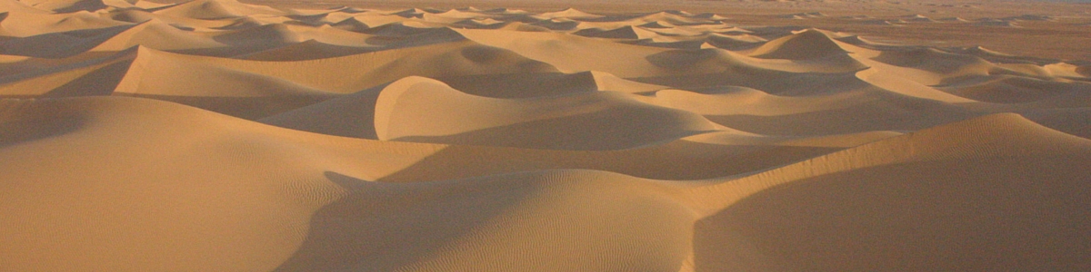 desert Magic Holidays The desert
